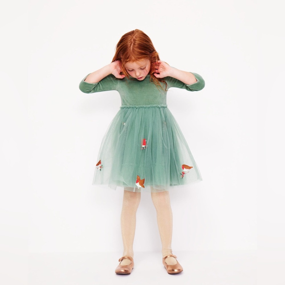 Boden Velvet Tulle Appliqué Dress.  4-5years old
